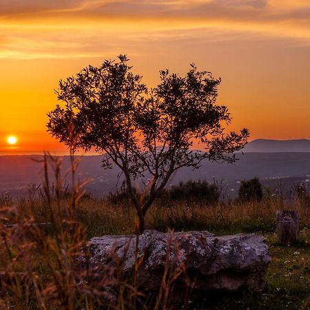Chamaloni Cottages フィニクーダ エクステリア 写真